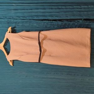 The Limited pale pink sheath dress with belt size 4